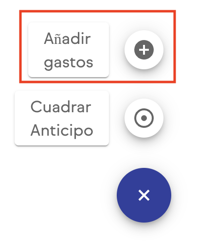 caja-chica-gestion-caja-lista-anticipos-añadir-gasto-icon.png